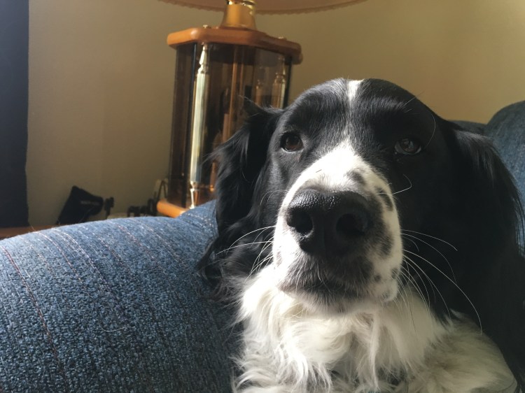 Elliot Boxwell, 2019